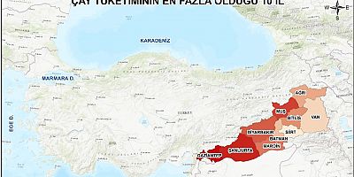 Karadeniz Üretiyor, Doğu ve Güneydoğu İçiyor: Muş Üçüncü Sırada