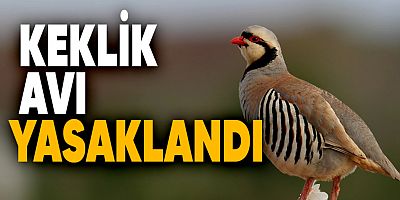Keneyle Mücadelede Yeni Dönem: Muş’ta Keklik ve Sülün Avına 3 Yıl Yasak!