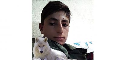 Malazgirt’te Acı Kaza: Harman Hasadında Hayatını Kaybetti