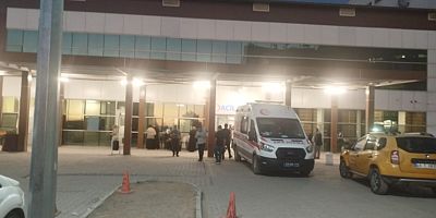 Malazgirt’te Ormanlık Alanda Baygın Bulunan Genç Yaşamını Yitirdi