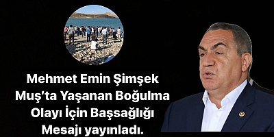 Mehmet Emin Şimşek’ten Muş’ta Yaşanan Boğulma Olayı İçin Başsağlığı Mesajı