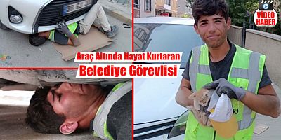 Motor Bölümüne Sıkışan Yavru Kediyi Kurtardı