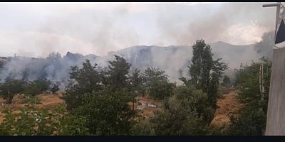 Muratpaşa Mezarlığı'nda Yangın Çıktı