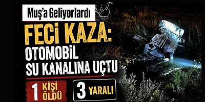 Muş’a Geliyorlardı: Otomobil Su Kanalına Uçtu, 1 Ölü, 3 Yaralı