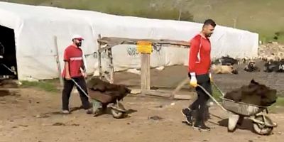 Muş Köylerinde Tezek Hazırlığı Başladı