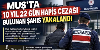 Muş’ta 10 Yıl 22 Gün Hapis Cezası Bulunan Şahıs Yakalandı