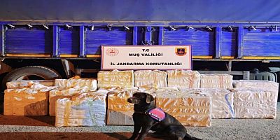 Muş’ta 640 Bin TL Değerinde Bandrolsüz Tütün Ele Geçirildi