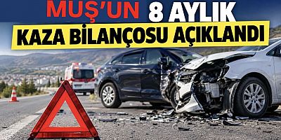 Muş’ta 8 Ayda 351 Trafik Kazası: 3 Kişi Hayatını Kaybetti