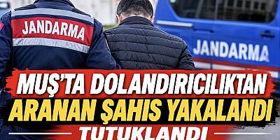Muş’ta Dolandırıcılıktan Aranan Şahıs Yakalandı
