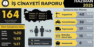 Muş’ta Haziran Ayında Bir İşçi Hayatını Kaybetti