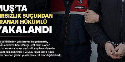 Muş’ta Hırsızlık Suçundan Aranan Hükümlü Jandarma Tarafından Yakalandı