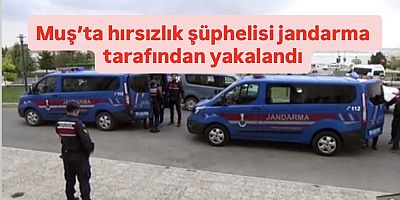 Muş’ta hırsızlık şüphelisi jandarma tarafından yakalandı
