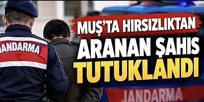 Muş’ta Hırsızlıktan Aranan Şahıs Tutuklandı