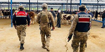 Muş’ta Jandarmadan Büyükbaş Hayvan Hırsızlarına Suçüstü 