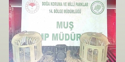 Muş’ta Kaçak Keklik Avına Suçüstü: 65 Bin TL Ceza