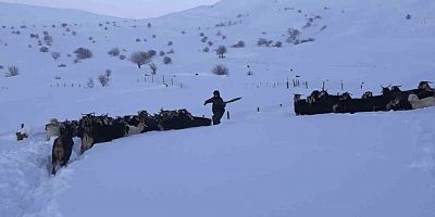 Muş’ta Karla Kaplı Mezrada Mahsur Kalan Besici Kurtarıldı
