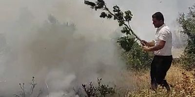 Muş’ta Korkutan Yangın: Köylüler ve Karaağaçlı Belediyesi Ekipleri Seferber Oldu