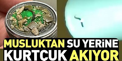 Muş’ta Musluklardan Kurtçuk Çıktı, Vatandaş Tedirgin Oldu