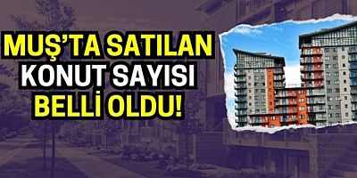 Muş’ta Nisan Ayında 218 Konut Satıldı