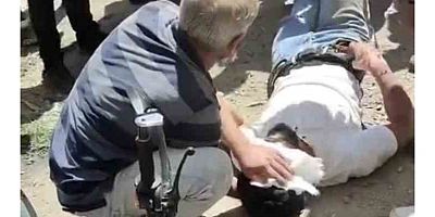 Muş’ta Otomobil ile Motosiklet Çarpıştı: 2 Yaralı