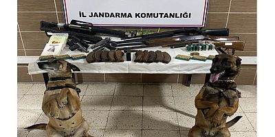 Muş’ta Ruhsatsız Silah Operasyonu: 7 Şüpheli Gözaltında