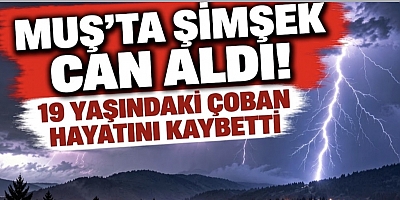 MUŞ’TA ŞİMŞEK CAN ALDI: 19 YAŞINDAKİ ÇOBAN HAYATINI KAYBETTİ