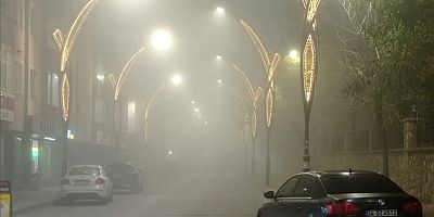 Muş’ta Sis Etkili Oldu: Görüş Mesafesi 5 Metreye Kadar Düştü