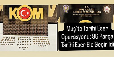 Muş’ta Tarihi Eser Operasyonu: 86 Parça Tarihi Eser Ele Geçirildi