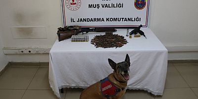 Muş’ta Tezek Altına Saklanan Silahlar Ele Geçirildi