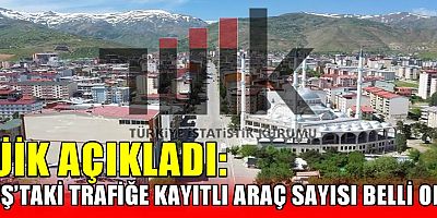 Muş’ta Trafiğe Kayıtlı Araç Sayısı 43 Bin 582’ye Ulaştı