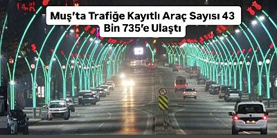 Muş’ta Trafiğe Kayıtlı Araç Sayısı 43 Bin 735’e Ulaştı