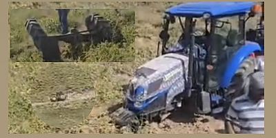 Muş’ta Traktör Takla Attı: Sürücü Yaralandı, Kaza Kamerada