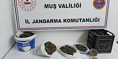 Muş’ta Uyuşturucu Operasyonu: 1 Kişi Gözaltına Alındı
