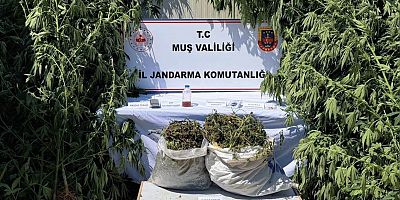 Muş’ta uyuşturucu operasyonu: 1 şüpheli tutuklandı