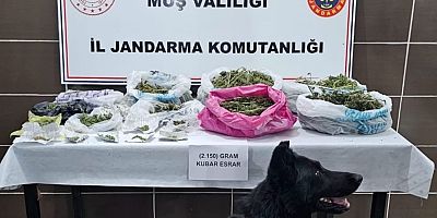 Muş’ta Uyuşturucu Operasyonu: 2 Kilo 150 Gram Esrar Ele Geçirildi