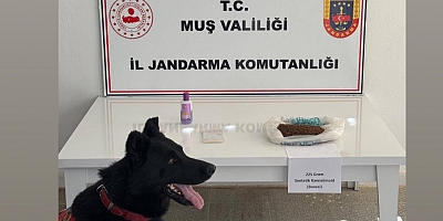 Muş’ta Uyuşturucu Operasyonu: 2 Kişi Gözaltında