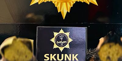 Muş’ta Uyuşturucuyla Mücadele Sürüyor: 1370 Gram Skunk Ele Geçirildi