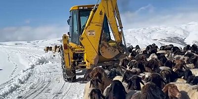 Muş’ta Yayladan Dönen Küçükbaş ve Büyükbaş Sürüsü Kara Yakalandı
