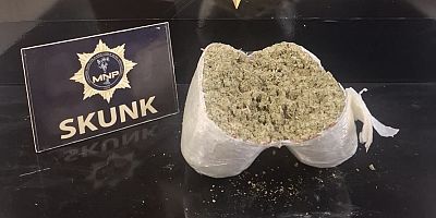 Muş’ta Yolcu Otobüsünde 2 Kilo Skunk Ele Geçirildi