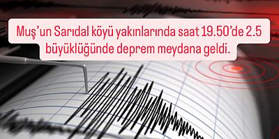 Muş’un Sarıdal Köyünde Deprem!