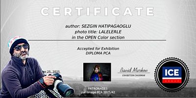 Muşlu Fotoğraf Sanatçısı Hatipağaoğlu’na İzlanda’dan 7 Ödül Birden