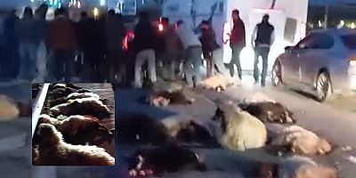 Otomobil Koyun Sürüsüne Çarptı, Onlarca Koyun Telef Oldu