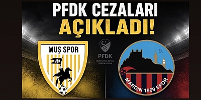 PFDK’dan Final Maçı Cezaları: En Büyük Ceza Muşspor’a