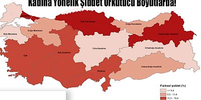 TÜİK Açıkladı: Kadına Yönelik Şiddet Ürkütücü Boyutlarda!