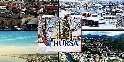 TÜİK Verileri: Bursa’da Muşluların Sayısı 112 Bini Aştı