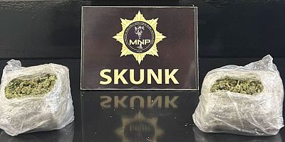 Uyuşturucu Madde Ticareti Operasyonu: 2 Kişi Tutuklandı