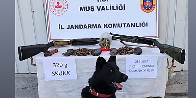 Varto’da Uyuşturucu ve Silah Ele Geçirildi