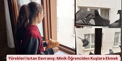 Yürekleri Isıtan Davranış: Minik Öğrenciden Kuşlara Ekmek