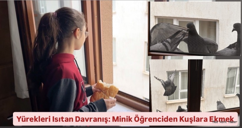Yürekleri Isıtan Davranış: Minik Öğrenciden Kuşlara Ekmek